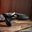 (image for) TESTER - Zero Tolerance Nautilus vibrating sleeve w/ remote