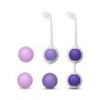 (image for) Wellness - Kegel Training Kit - Purple