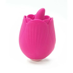 TESTER - Skins Rose Buddies - The Rose Flix