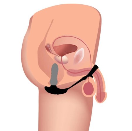 (image for) RC Thrusting Silicone Plug / Cock & Ball