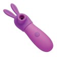 (image for) Bunny Sidekick Suction Clit Stimulator