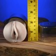 (image for) Zero Tolerance Sasha Grey movie download w/ Mini Vagina Stroker