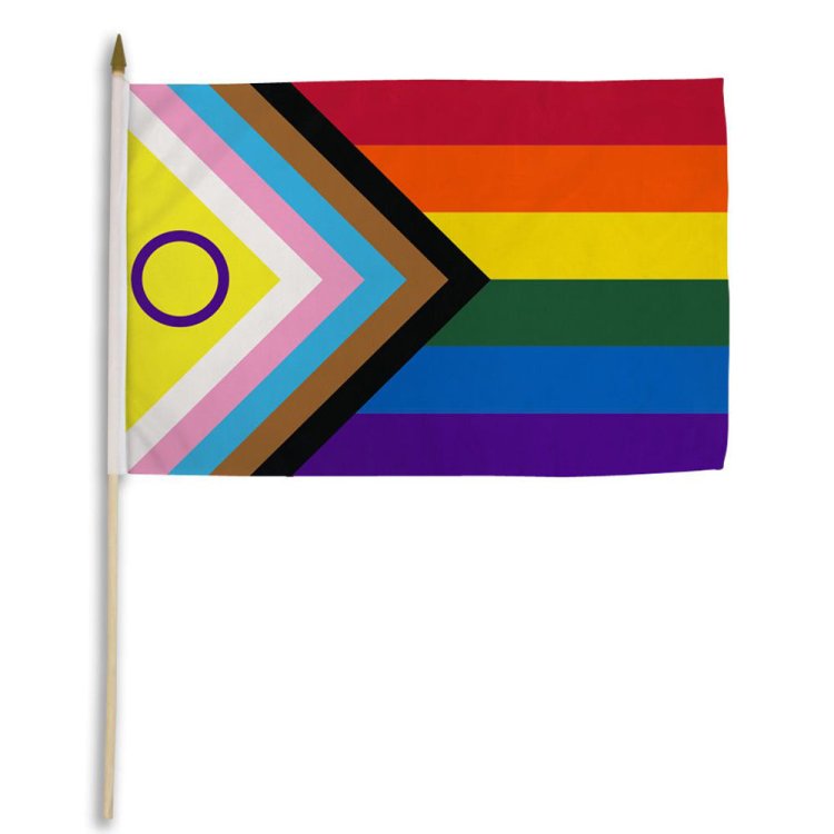 (image for) Inclusive Pride 12\" x 18\" Stick Flag