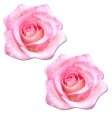 (image for) Glitter Velvet Blooming Rose - Pink
