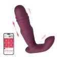(image for) TESTER - Ryder App-Enabled Thrusting G-spot &