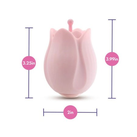 (image for) Play With Me - Romantic Rose - Pink