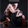 (image for) Kinky Couch Sex Chaise Lounge w Pillows