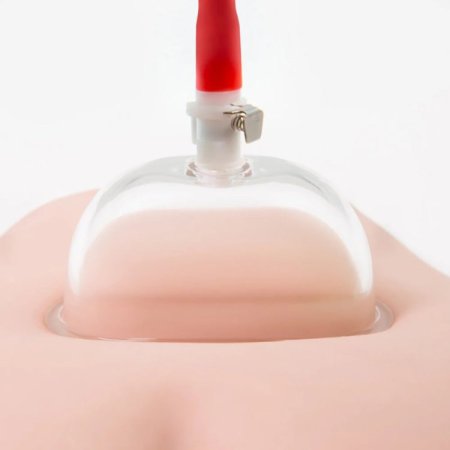 (image for) Temptasia - Intense Pussy Pump System