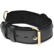 (image for) Tracer Tracking Collar (for airtags)