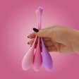 (image for) Kegel Exercise Set - 6pc - TESTER