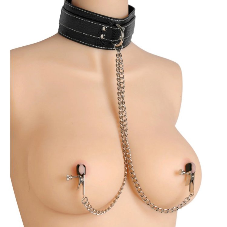 (image for) Coveted Collar and Clamp Union