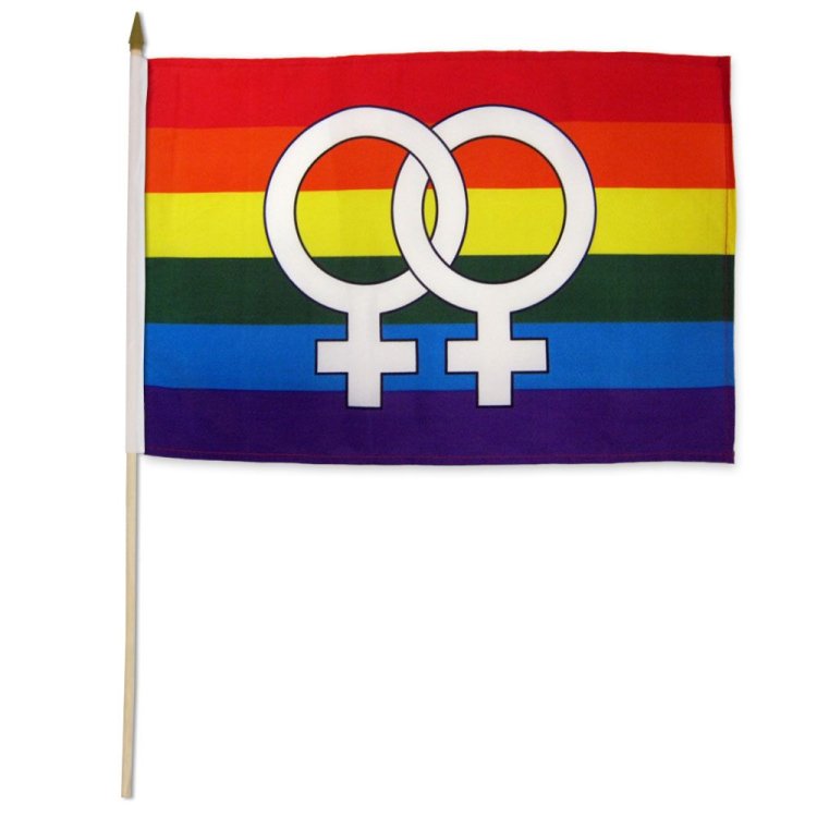 (image for) Rainbow Double Venus StickFlag 12\" X 18*
