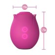 (image for) Blush Collection The Original Blush Rose