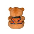 (image for) Pride Teddy Bear Plush