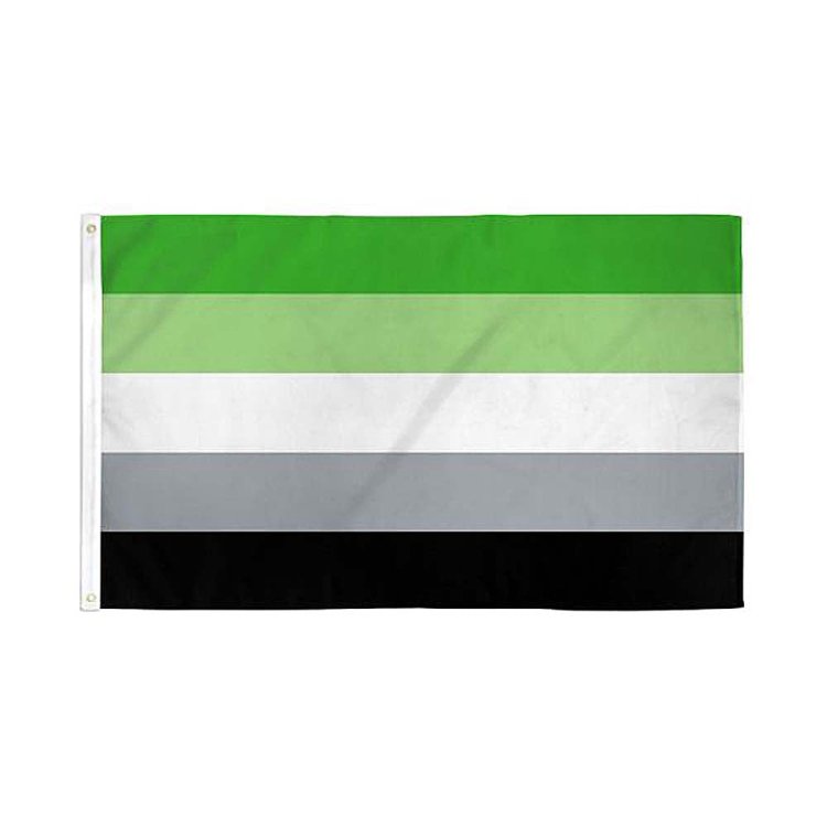 (image for) Aromantic Pride Flag 3\' x 5\' Polyester
