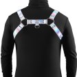 (image for) Cosmo Harness - Dare - L/X