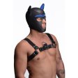 (image for) Spike Neoprene Puppy Hood - Blue