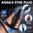(image for) Inflatable Anal Plug & Urethral Sound E-Stim Kit w/remote