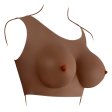 (image for) Gender-X Undergarments Plate D cup Dark