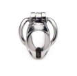 (image for) Rikers Stainless Lockng Chastity Cage