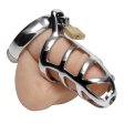(image for) Detained Stainless Steel Chastity Cage