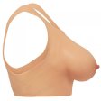 (image for) Perky Pair D-Cup Silicone Breasts