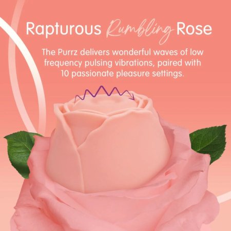 (image for) TESTER - Skins Rose Buddies - The Rose Purrz