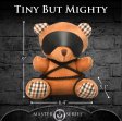 (image for) Rope Bondage Teddy Bear Plush