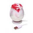 (image for) The Rose Lover's Gift Box - Swirl