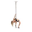 (image for) Deluxe Dance Pole