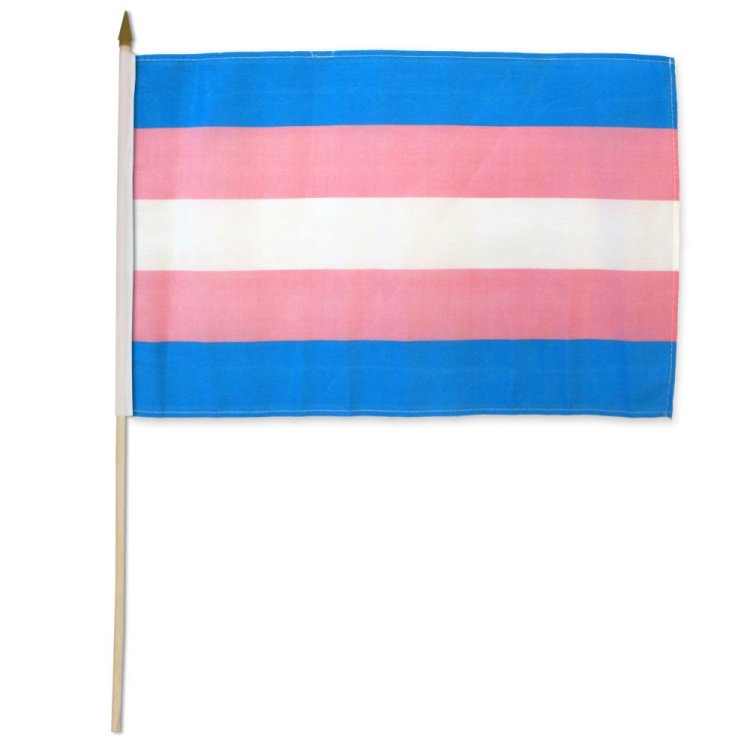 (image for) Transgender 12\"x18\" Stick Flag