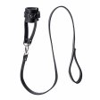 (image for) Ball Stretcher With Leash