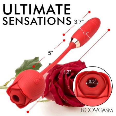 (image for) Romping Rose 10X Suction Rose & Thrustin
