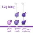(image for) Wellness - Kegel Training Kit - Purple