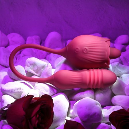 (image for) Evolved Wild Rose