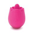 (image for) TESTER - Skins Rose Buddies - The Rose Flix
