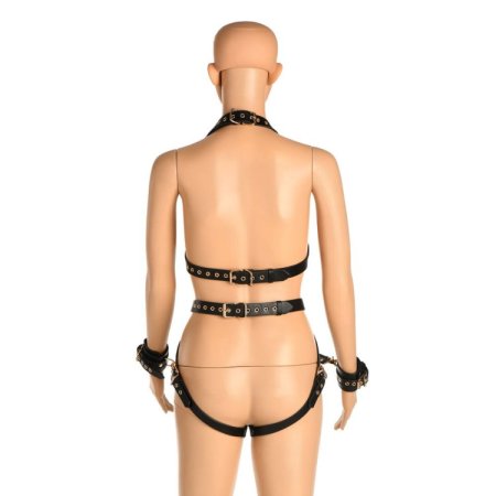 (image for) Harness With Restraints