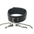 (image for) Coveted Collar and Clamp Union