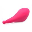 (image for) Voice Activated 10X Panty Vibe w R/C *