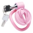 (image for) Pussification Chastity Cock Cage