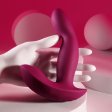 (image for) TESTER - Evolved Come on Over w remote