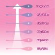 (image for) Kegel Exercise Set - 6pc - TESTER