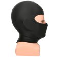 (image for) Drone Hood - zippered back