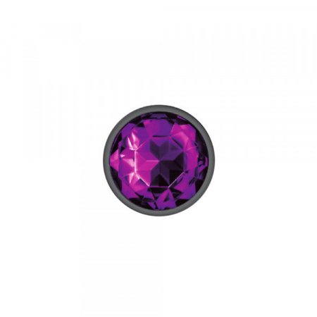 (image for) Silver Metal Plug - Round-Purple-Small
