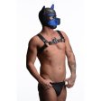 (image for) Spike Neoprene Puppy Hood - Blue
