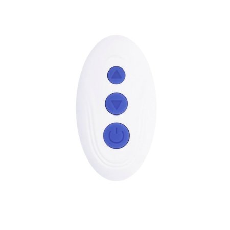 (image for) Evolved Lovebirds remote control