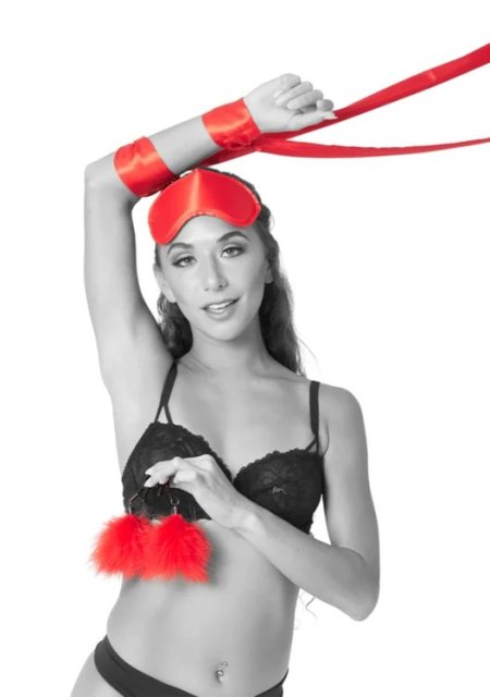 (image for) Amor Bondage Beginner Kit