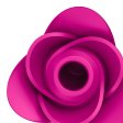 (image for) Pro 2 Modern Blossom