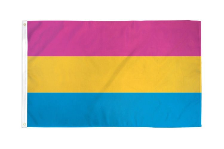 (image for) Pansexual Flag 2\' x 3\' Polyester