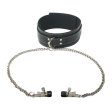 (image for) Coveted Collar and Clamp Union